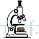 Feed Quality <br>Assurance